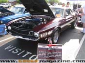 GaugeMagazine_NPIndependenceShow_064