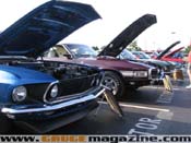 GaugeMagazine_NPIndependenceShow_103