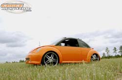 GaugeMagazine_2007_VWBeetle_002