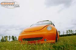 GaugeMagazine_2007_VWBeetle_010