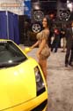 GaugeMagazine_2008_SEMA_233