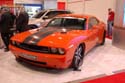 GaugeMagazine_2008_SEMA_538